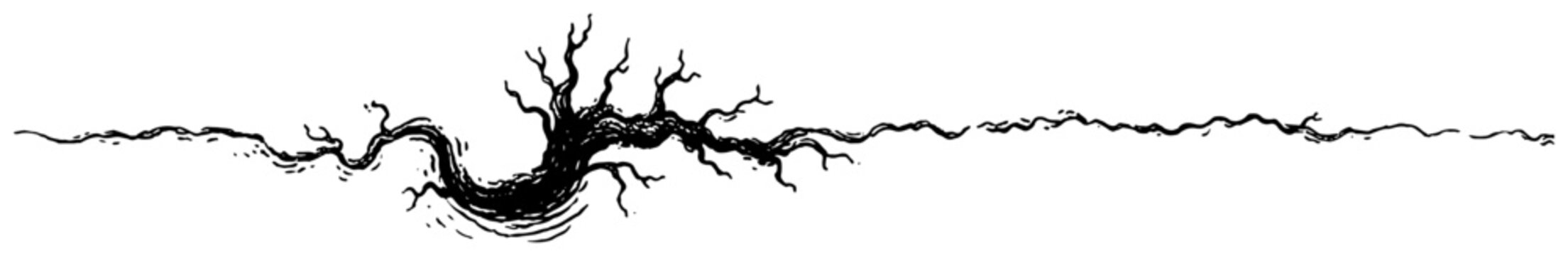 Gnarly dead tree root on horizon vector, horizontal gothic landscape divider sketch, black and white twisted branch line art illustration