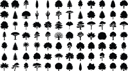 Tree silhouettes on a white background collection of various foliage shapes © Mehedi