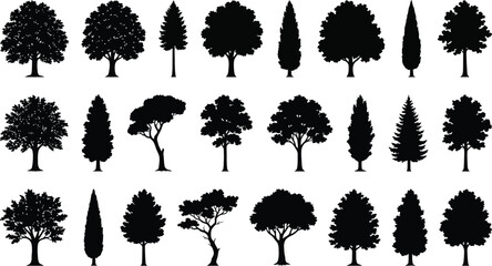 Tree Silhouettes Collection On White Background shape © Mehedi