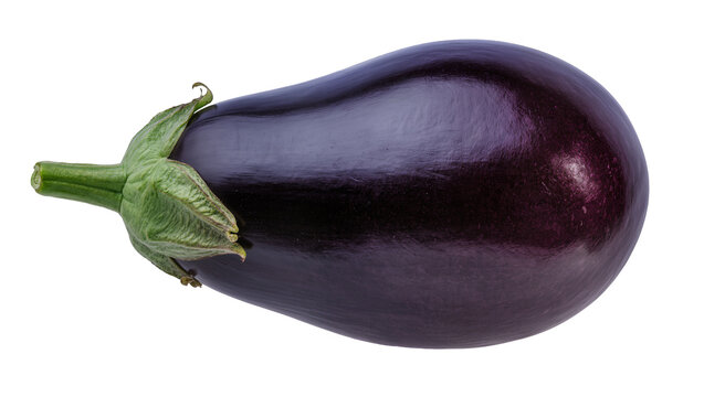 Dark purple eggplant with green stem and calyx, isolated on transparent background