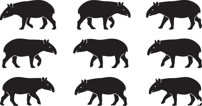 Exotic tapirs walking in profile rainforest wildlife animal silhouettes