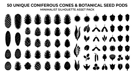 50 Unique Coniferous Cones & Botanical Seed Pods, Minimalist Silhouette Vector Asset Pack for Nature Designs, Organic Elements, and Forest Graphics © Juboraj