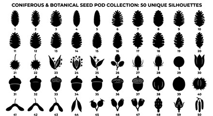 Coniferous & Botanical Seed Pod Collection: 50 Unique Silhouettes, Natural Elements Vector Set for Design and Illustration © Juboraj