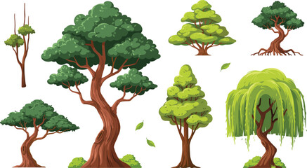 Detailed Cartoon Tree Vector Collection Featuring Diverse Forest Trees Willow Oak Bonsai Mangrove and Conifer Species Isolated on White Background for Landscape Designs © MstAkhlima