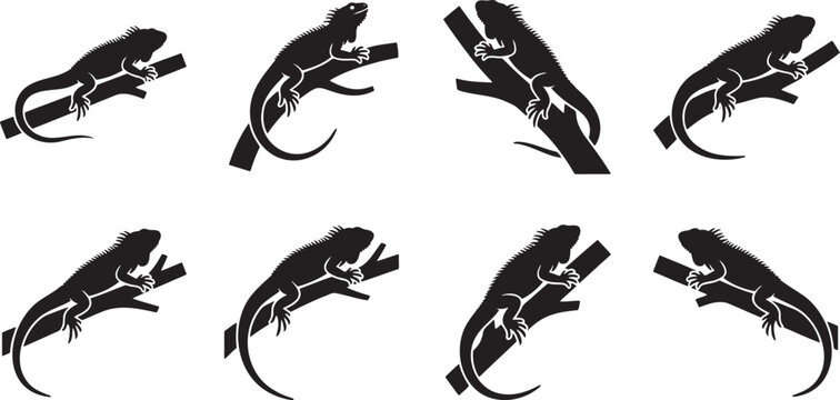 Exotic iguanas and lizards climbing on tree branches silhouettes