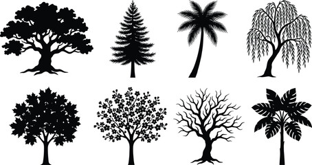 Obraz premium Tree Silhouette Collection Set Featuring Oak Pine Palm Willow Maple Flowering and Bare Trees Vector Illustration