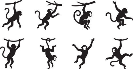 Wild monkeys swinging from jungle tree vines acrobat silhouettes © HM