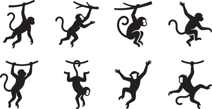 Wild monkeys swinging from jungle tree vines acrobat silhouettes