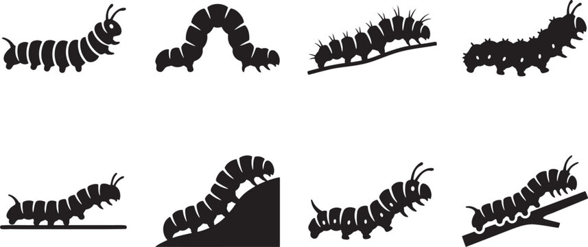 Black silhouette collection of caterpillars crawling and inching forward on flat surfaces and climbing upward