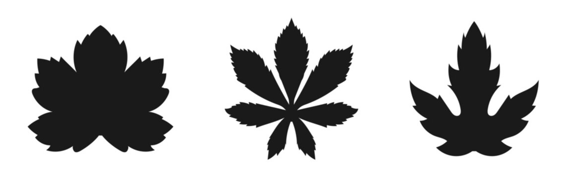 marijuana leaf, cannabis leaf icon