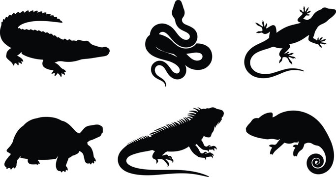 Reptiles and amphibians silhouette collection featuring alligator snake lizard turtle iguana and chameleon isolated on white background