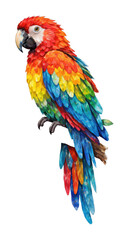 Obraz premium PNG Vibrant watercolor parrot perched on branch.