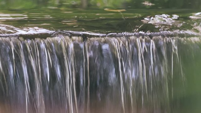 Gentle Waterfall Over a Rock Ledge in a Forest Stream