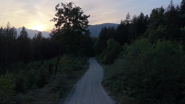 Serene Sunset Over a Winding Forest Path in the Mountains of British Columbia, Canada