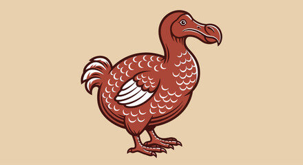 Dodo bird illustration, brown and white, simple background, educational concept © Adam