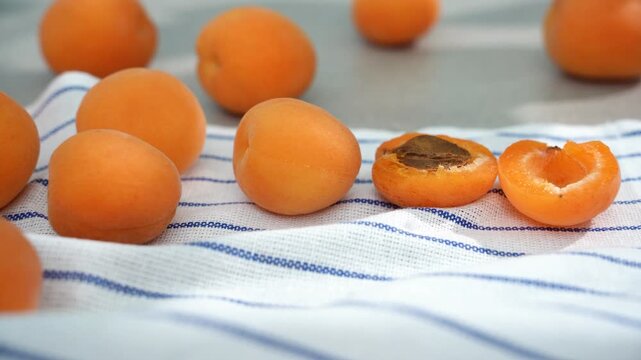 close-up of apricots on a white towel in the sunlight