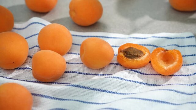 close-up of apricots on a white towel in the sunlight