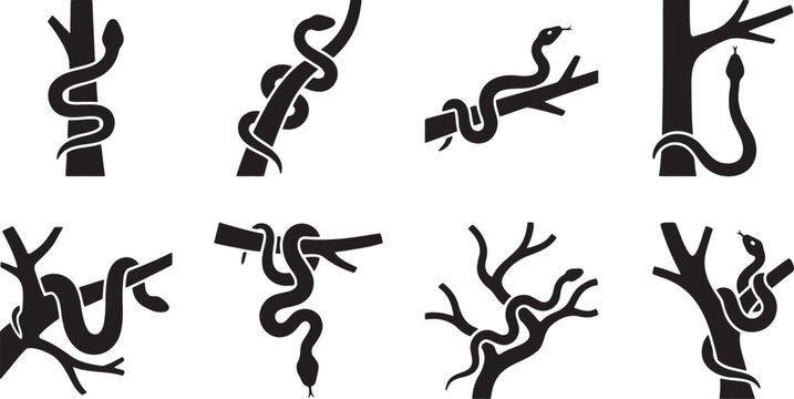 Wild snakes climbing and slithering on bare tree branches