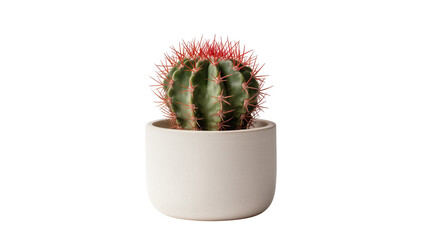 Round green cactus with red spines in a white pot, isolated on transparent background © Lukas