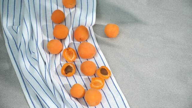 apricots on the table in the sunlight and shade from the leaves