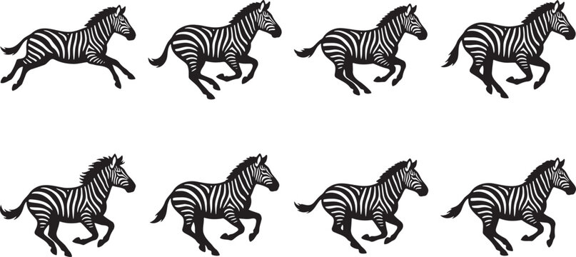 Wild safari zebras running and galloping across savanna plains