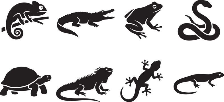 Cold blooded wild reptiles and common swamp amphibians collection
