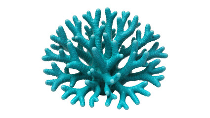 Teal branching coral reef structure, isolated on transparent background © Elena