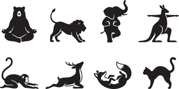 Relaxing and stretching wild animals in flexible physical poses