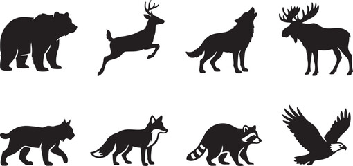 Obraz premium Forest wild animals and birds of prey collection