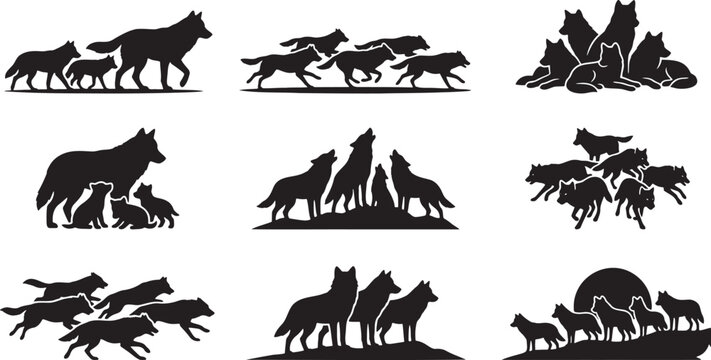 Pack of wild wolves hunting and howling in wilderness