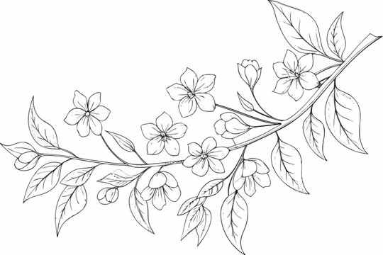 Floral branch contour a delicate black and white vector illustration