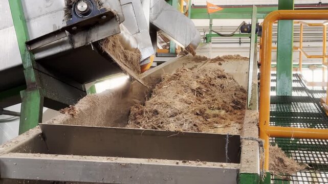 Slow motion 4K steadycam detail shot captures processed agave fiber waste cascading onto a moving conveyor belt during the disposal stage of an industrial tequila production line in Jalisco, Mexico