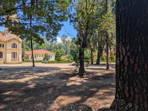 Floresta urbana