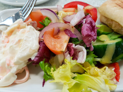 Panini and mixed salad with coleslaw served up at lunch time is cafe or restaurant , a lovely tasty light lunch.