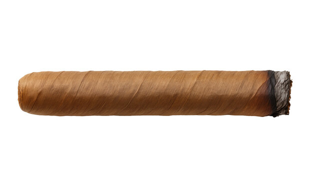Rolled tobacco cigar with burning end, isolated on transparent background