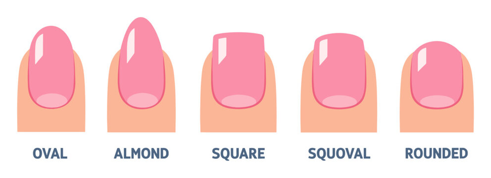 Nail shapes guide vector showing various manicure styles: oval, almond, square, squoval, and rounded for beauty and fashion concepts