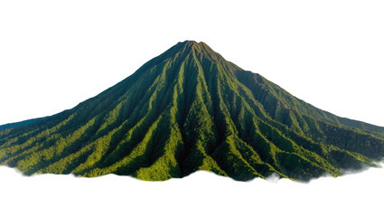 Lush green volcanic mountain peak covered in dense vegetation, isolated on transparent background © TONSTOCK