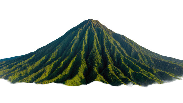Lush green volcanic mountain peak covered in dense vegetation, isolated on transparent background
