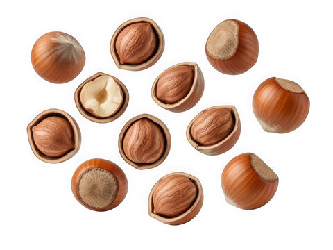 Assorted hazelnuts with shells and kernels isolated on transparent background