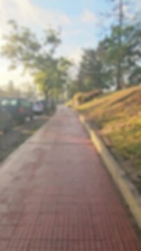 Camino peatonal desenfocado en parque urbano con &aacute;rboles y autos al costado