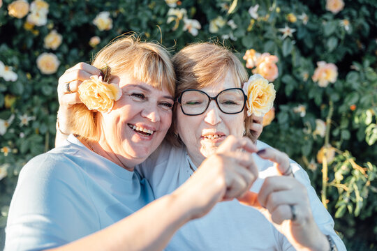 Joyful Senior Female Friends Laughing Together With Yellow Roses During Summer Garden Walk