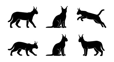 Caracal Silhouette Collection, Wild Cat Vector Icons, African Lynx Poses, Feline Animal Graphics, Safari Wildlife Set © Nusrat