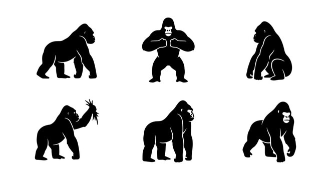 Gorilla Silhouettes Vector Set: Primate Poses, Wildlife Icons, Animal Graphics, Jungle Mammal Illustrations