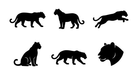 Black Panther Silhouettes Vector Set, Wild Cat Poses Collection, Big Cat Graphics for Wildlife Design © Mitu