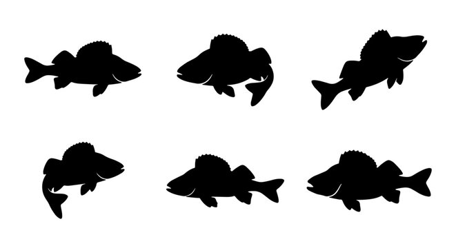 Six Black Silhouette Walleye Fish Icons, Vector Graphics for Fishing and Aquatic Themes, Simple Aquatic Animal Icons
