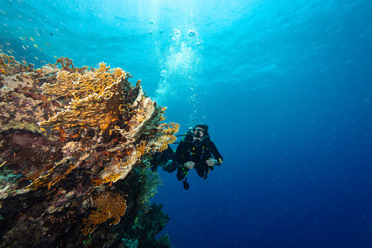 Scuba Diver Swimming in Deep Sea With Sunrays