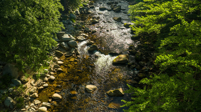 Beautiful Sunrise In Sunny Spring Forest with River