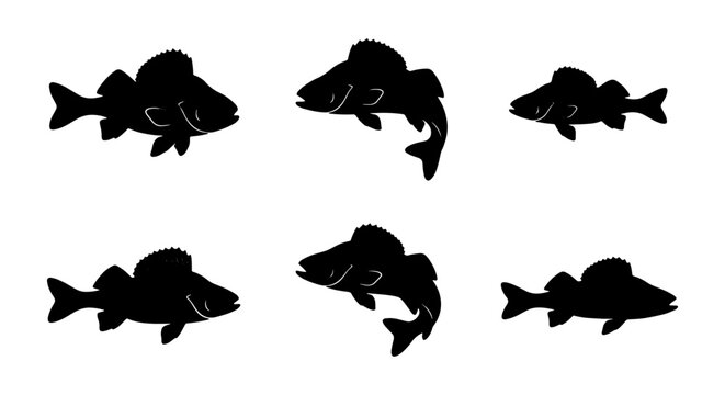 Six Black Silhouette Walleye Fish Icons, Vector Set for Fishing and Aquatic Themes, Simple Graphic Elements