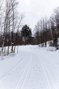Groomed cross-country ski trail winding through a snowy forest in winter, Quebec, Canada