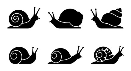 Snail Silhouettes Vector Set: Six Diverse Mollusk Icons, Black and White, Simple Outline Art for Nature and Wildlife Graphics © Farhana